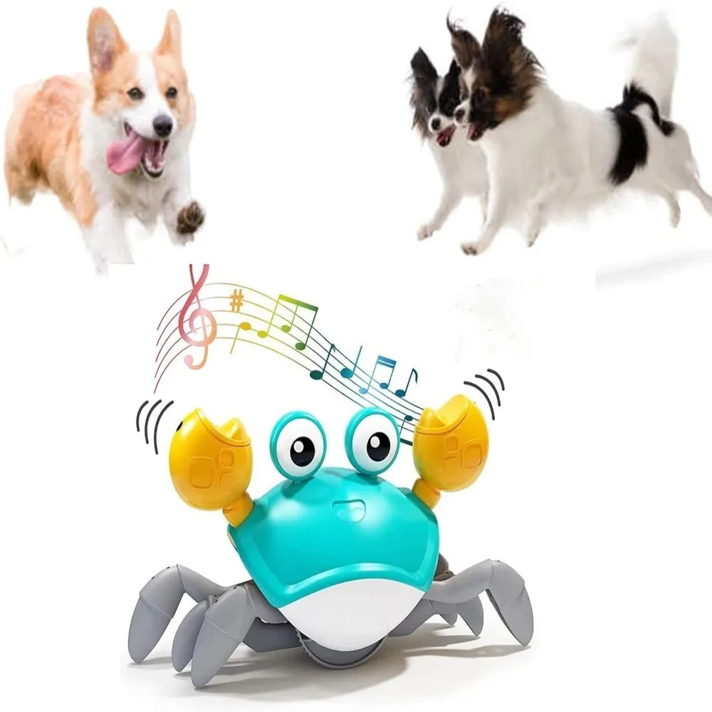 GrooveCrab Interactive Pet Toy