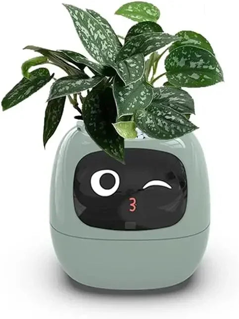 IVY Smart Plant Care System