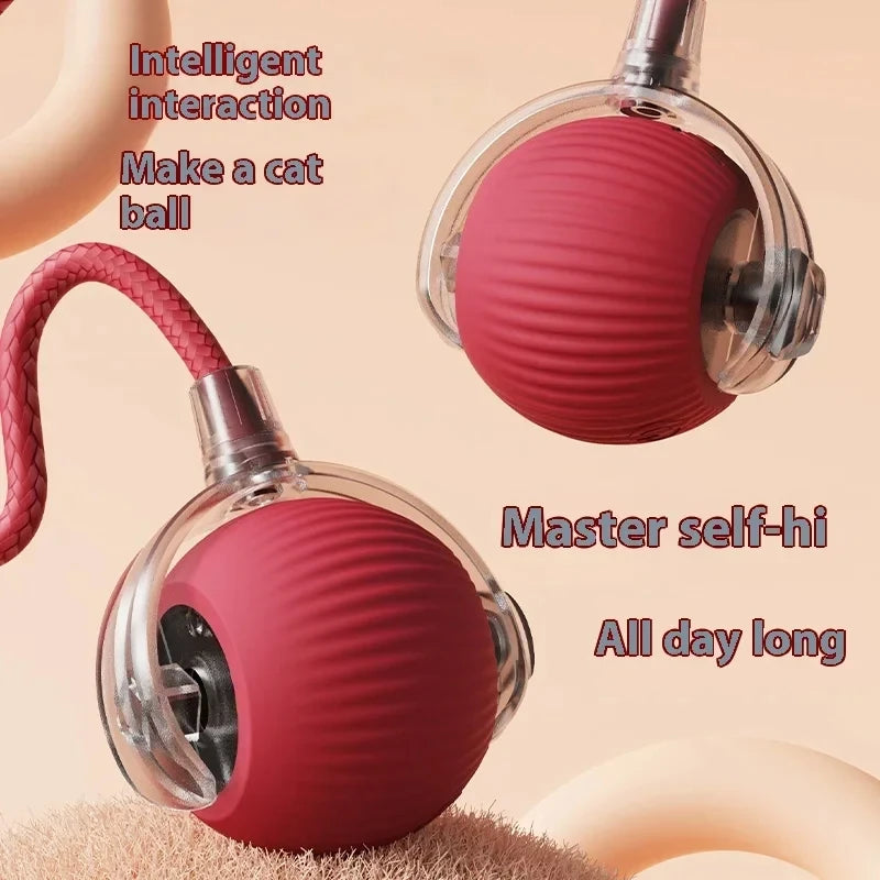 Paw Smart Motion Ball