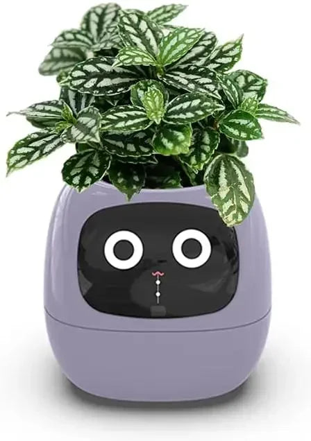 IVY Smart Plant Care System