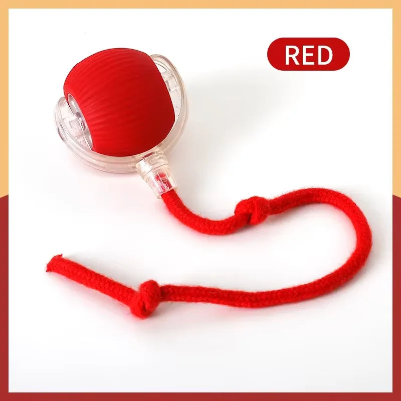 Paw Smart Motion Ball