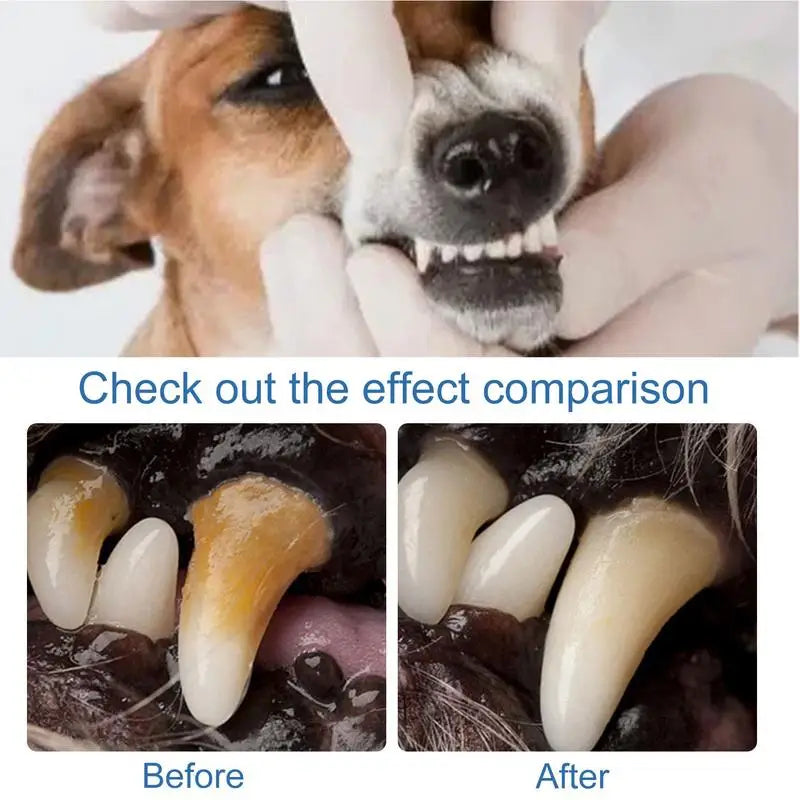 FreshPaws Natural Tartar & Breath Foam
