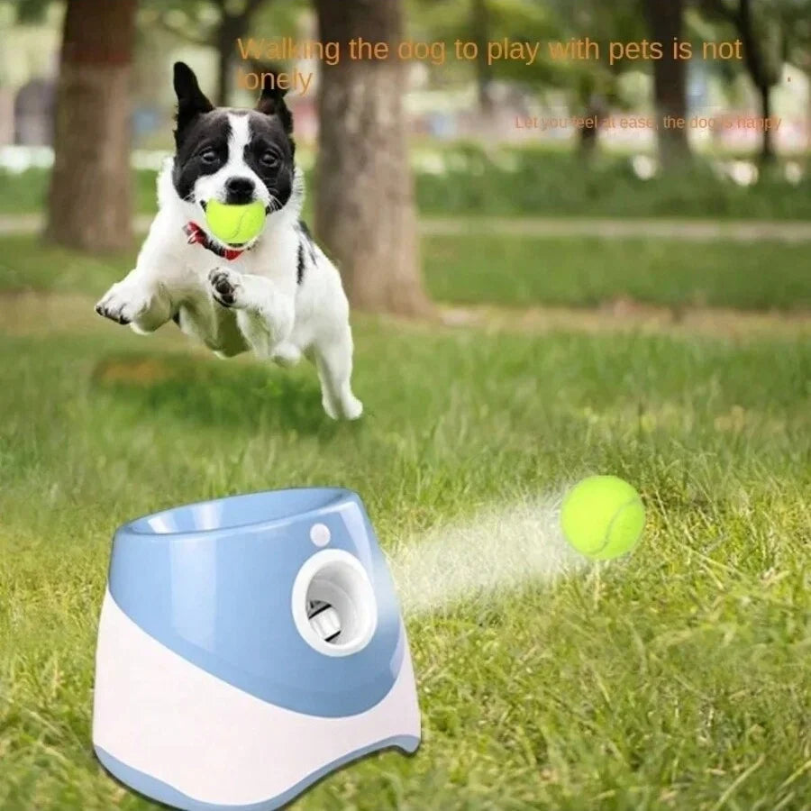 Fetch Master Automatic Ball Launcher
