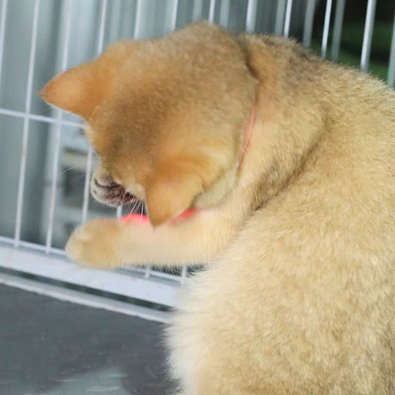 LunaChase Laser Collar