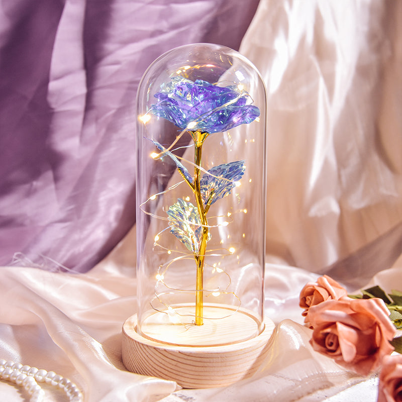 Enchanted Rose Bloom Light