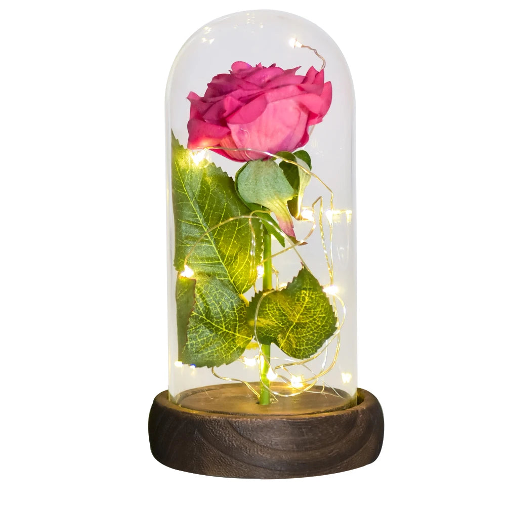 Everbloom Rose Dome