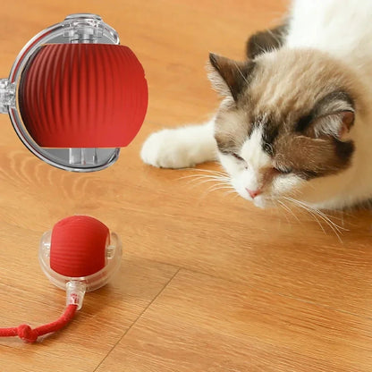 Paw Smart Motion Ball