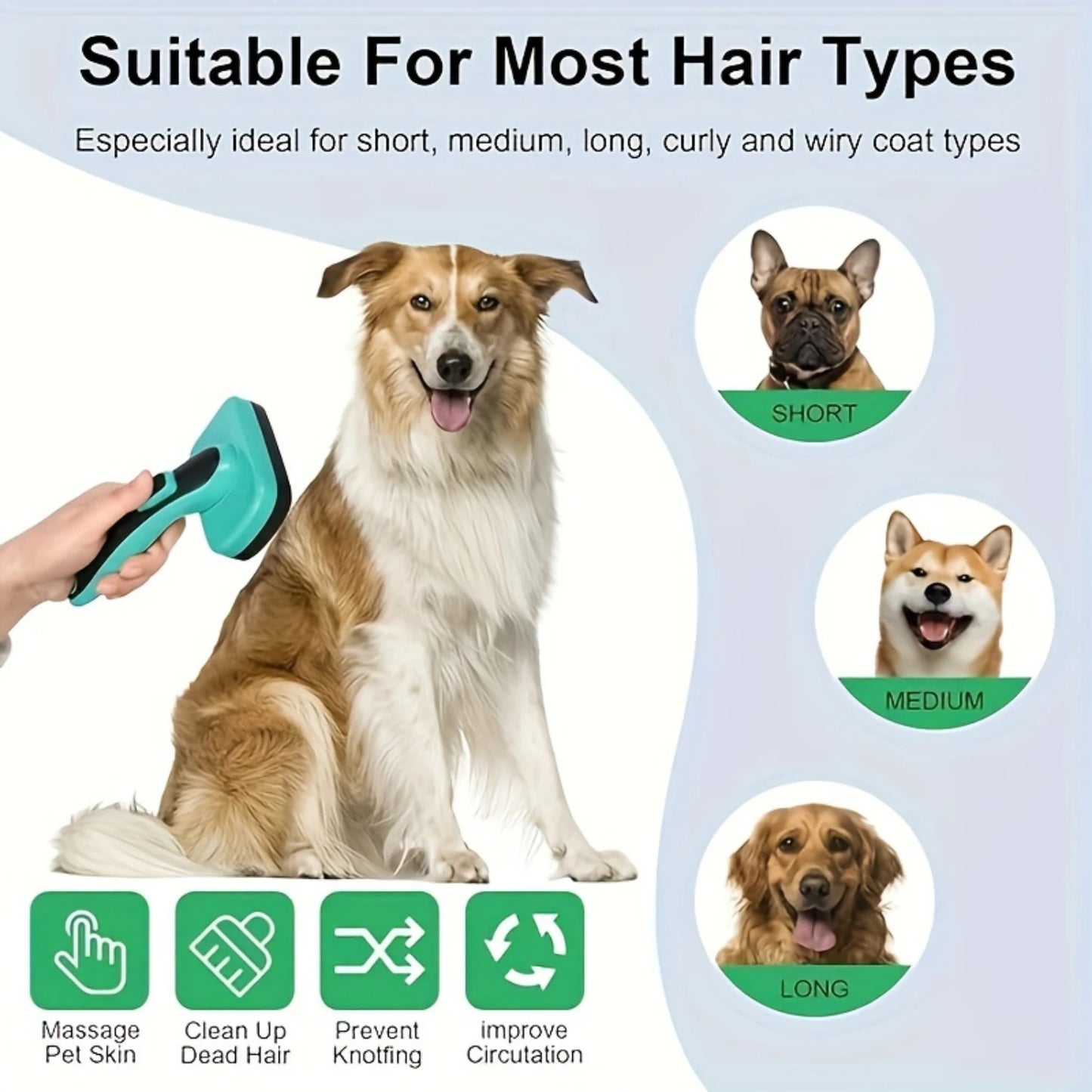 SheddiBrush