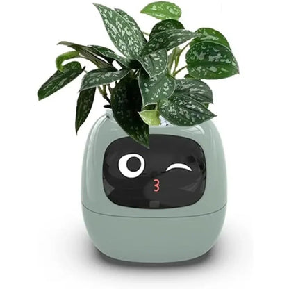 IVY Smart Plant Care System