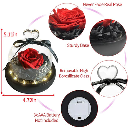 Everly's Eternal Glass Rose