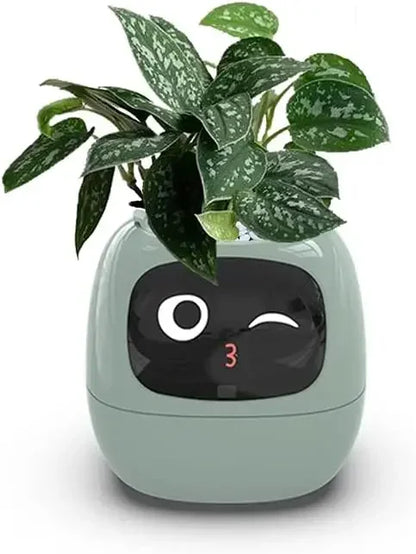 IVY Smart Plant Care System