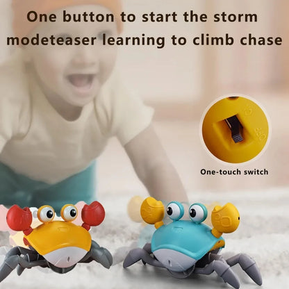 GrooveCrab Interactive Pet Toy