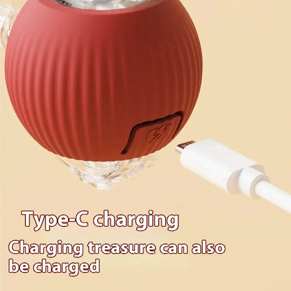 Paw Smart Motion Ball