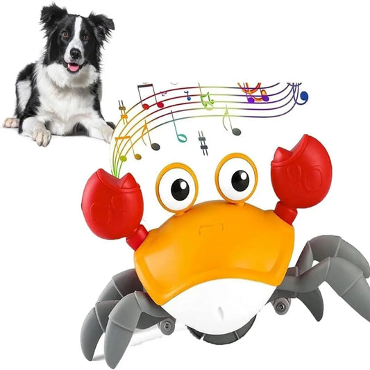 GrooveCrab Interactive Pet Toy