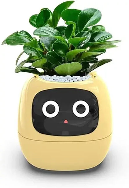 IVY Smart Plant Care System