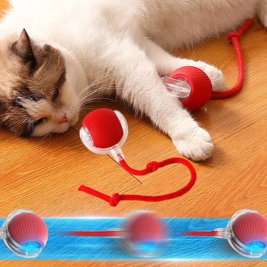 Paw Smart Motion Ball