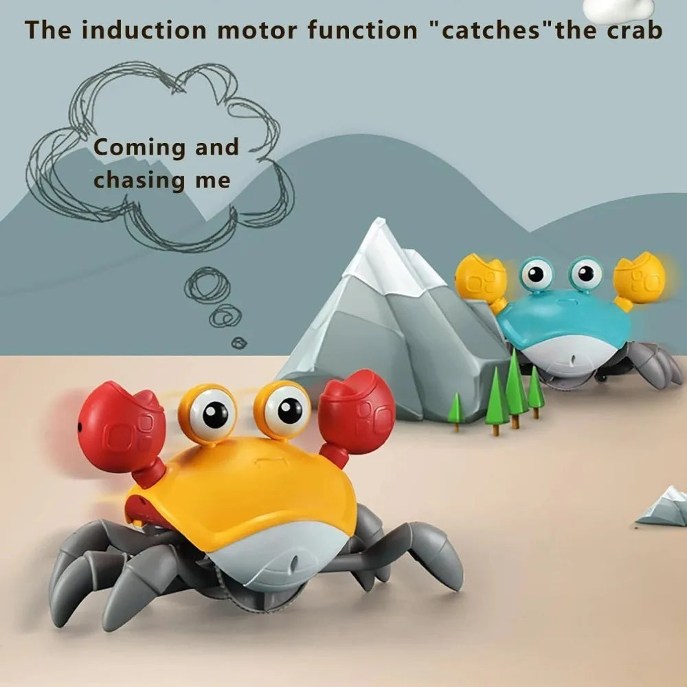 GrooveCrab Interactive Pet Toy