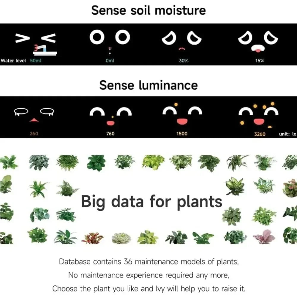 IVY Smart Plant Care System