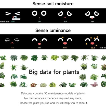 IVY Smart Plant Care System