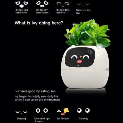 IVY Smart Plant Care System