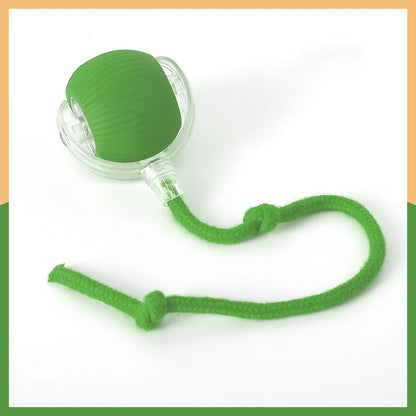 Paw Smart Motion Ball