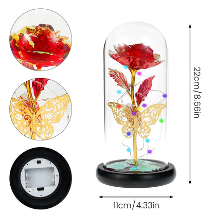 Enchanted Rose Bloom Light
