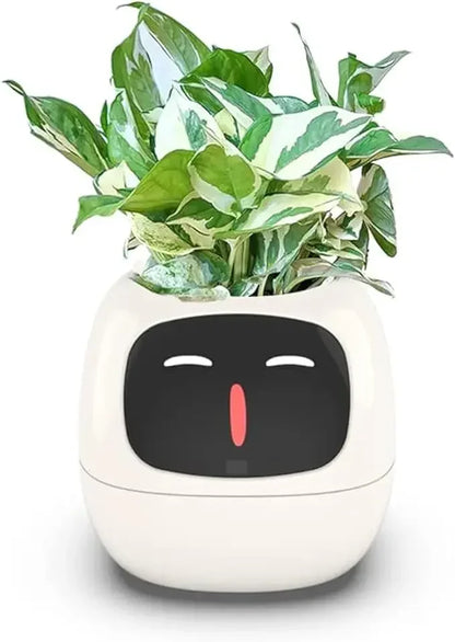 IVY Smart Plant Care System