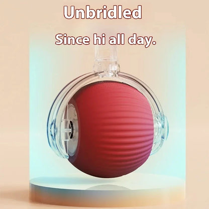 Paw Smart Motion Ball