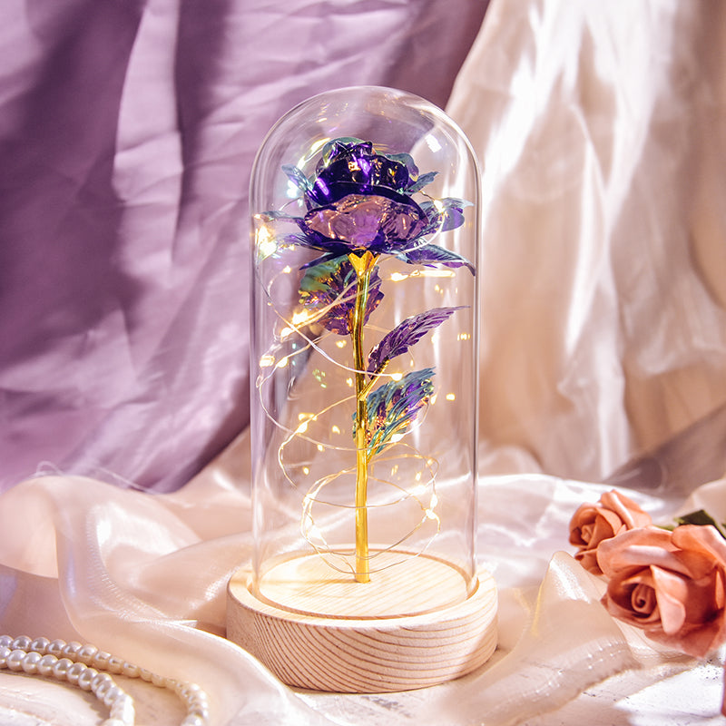 Enchanted Rose Bloom Light